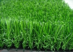 rumput sintetis swiss