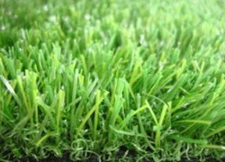 jenis rumput sintetis swiss