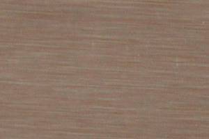 VM - 04 Brush Palm Copper