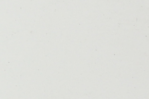 Z-02 Pearl lvory White