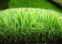 jenis rumput sintetis golf