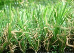 jual rumput sintetis jakarta