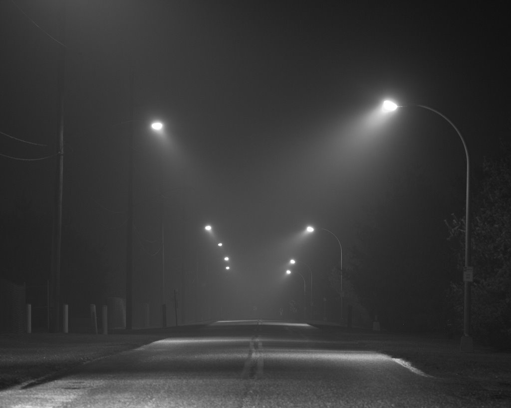 Menghindarkan Kecelakaan di Jalanan Berkabut -Inilah Fungsi Lampu Tembak yang Perlu Anda Ketahui - fickr.com