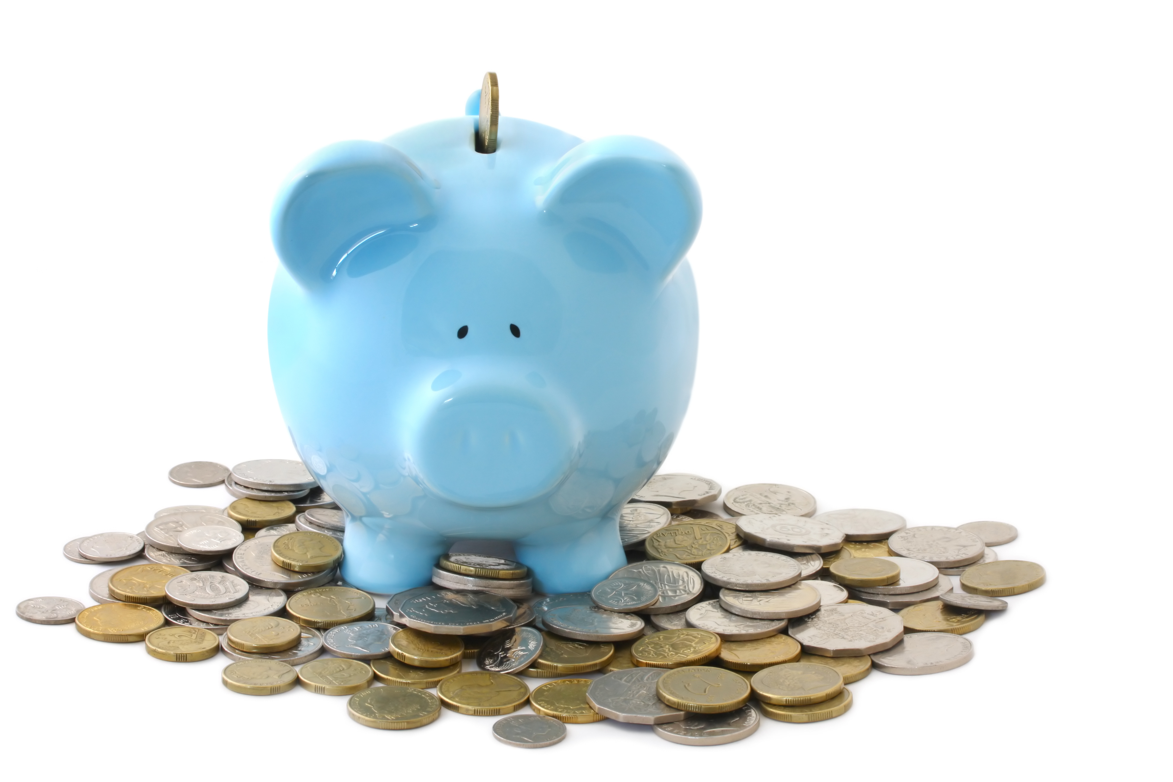 harga paku gypsum per kg